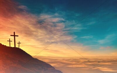 Youth Ministry: Youth Saints and Creation Club