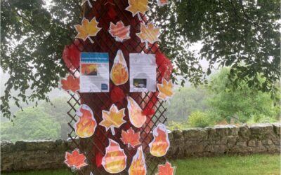 Creationtide Prayer Trees