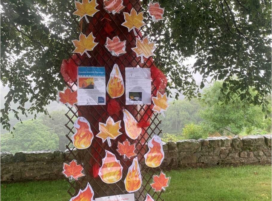 Creationtide Prayer Trees