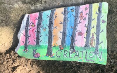 Look out for our Creation Walk