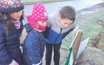 Winston: Advent Trail Creation