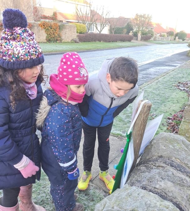 Winston: Advent Trail Creation